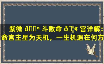 紫微 🐺 斗数命 🦢 宫详解：命宫主星为天机，一生机遇在何方